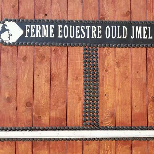 Ferme-equestre-ould-jmel-Casablanca